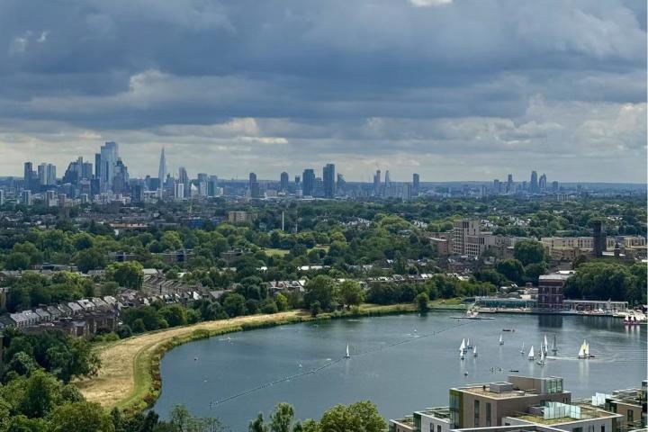 UK property market dynamics under the influence of the Autumn Budget: house prices unexpectedly fall in November, buy-to-let demand continues to grow